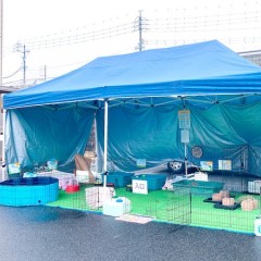 愛知県刈谷市の保育園に小動物園を派遣しました！